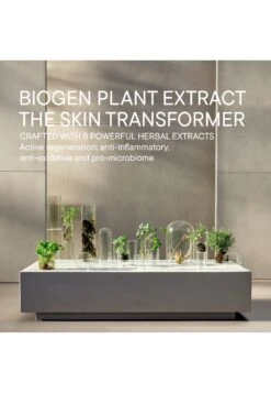 Babor RENEWAL CREAM - Gesichtscreme -Babor Verkaufsgeschäft 0e13ac68dd024e19b76931c4a2daf610