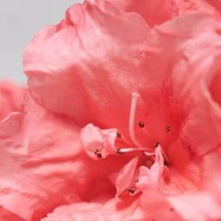 BABOR SKINOVAGE Vitalizing Eye Cream 15 Ml -Babor Verkaufsgeschäft 12102317 3