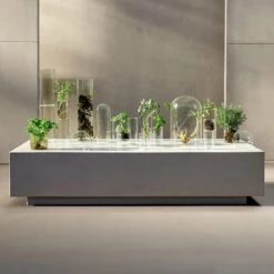 BABOR The Cure Cream 50 Ml -Babor Verkaufsgeschäft 12118851 5